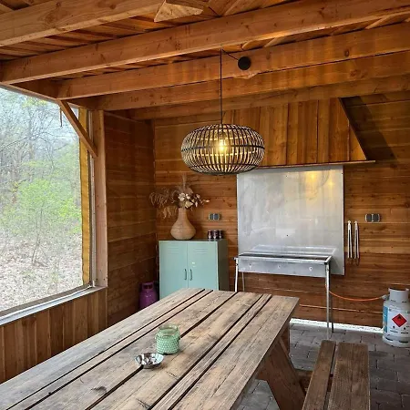 Bosvilla Op Priveterrein, Zwembad, Sauna &speeltuin, 16 Pers Veluwe