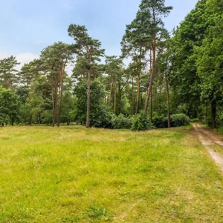 Bosvilla Op Priveterrein, Zwembad, Sauna &speeltuin, 16 Pers Veluwe *
