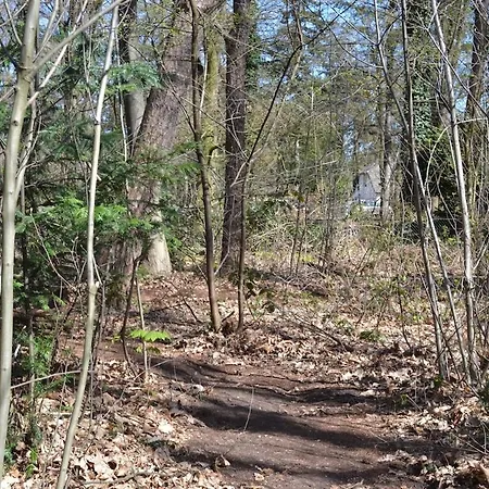 Bosvilla Op Priveterrein, Zwembad, Sauna &speeltuin, 16 Pers Veluwe Вилла