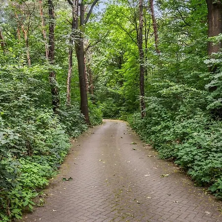 Bosvilla Op Priveterrein, Zwembad, Sauna &speeltuin, 16 Pers Veluwe * Люнтерен